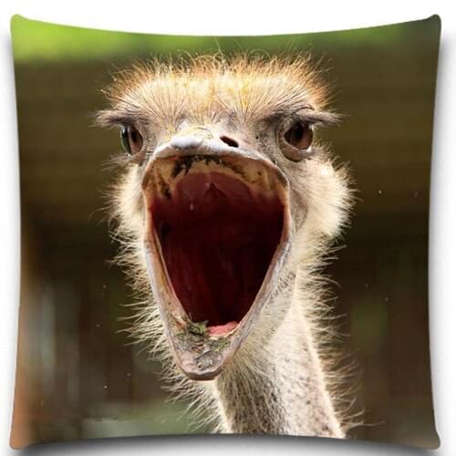 Yawning ostrich 2D print creative Pillow case Square cotton polyester cushion cover 5 size 9 style
