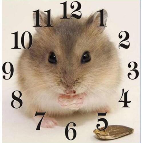 Kezinzu Full Square Round 5D Diamond Painting Kit With Clock Mechanism Cross stitch Diamond Embroidery Mosaic Animal Gift