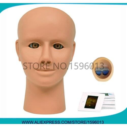 Advanced Ocular Inspection Simulator of Retinopathy,Retinopathy Check model,Eye Inspection model