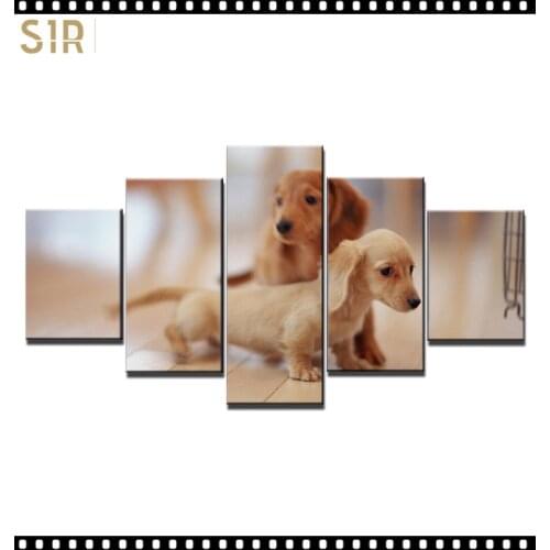 HD 5 Pieces Cute Pet Dog Pictures Posters Wall HD Art Home Decor for Living Room Painting on The Wall Pet Dog Pictures Wall Art