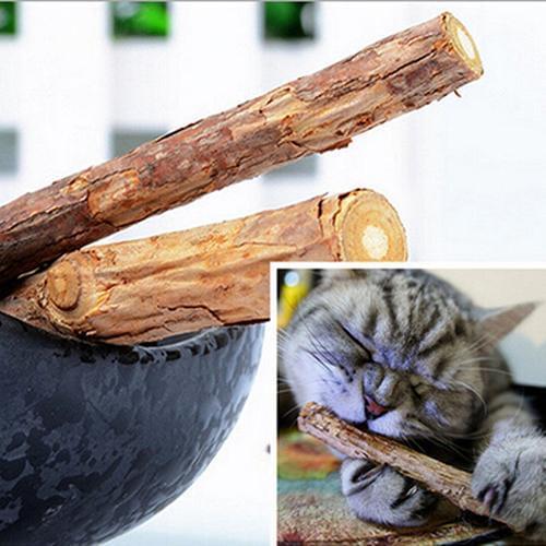 5Pcs/1Bag Pet Cat Kitten Chew Stick Treat Toy Natural Catnip Molar Food Cleaning Teeth Silvervine Cat Snacks Sticks Pet Supplies