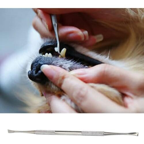 Double-head Stainless Steel Pet Tartar Stone Remover Scraper Scaler for Dog Cat Dental Tooth Oral Hygiene Health Care Tools