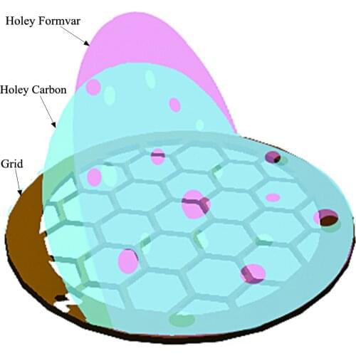 Holey Carbon Films for TEM Grids