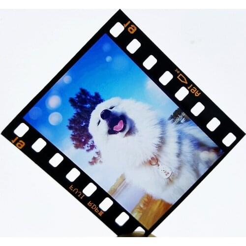 Color Black White Picture Film Negatives Vintage Camera Nostalgic Decorative Bookmark Prop RoomSet Commemorating Collection Gift