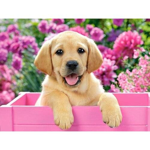 5D DIY Animal Diamond Embroidery Full Square Diamond Painting Dog Cross Stitch Kit Handmade Gift Home Decoration