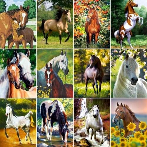 GATYZTORY 40x50cm Paint By Numbers Horse DIY Painting By Numbers On Canvas Animals Frameless Digital Hand Painting Home Decor