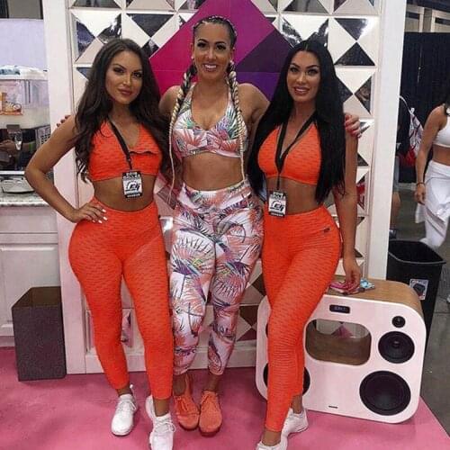 New Women Sports Suit Fitness Gym Clothing 2 Piece Set Tracksuit Sexy Running Set Bras Leggings Yoga Set