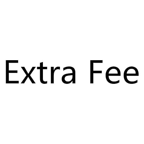 Extra Fee