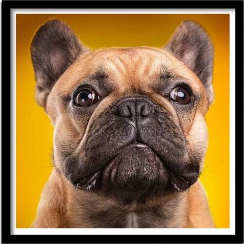 French Bulldog Diy Diamond Painting 5D Diamond Mosaic Square Drill Diamond Embroidery Cross Stitch 3d Picture Home Decor QQ2020