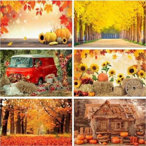 Yeele Photozone Autumn Backdrop Glitter Flower Fruit Baby Shower Birthday Party Photography Photographic Background Photo Studio