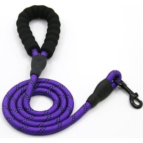 Hot Sales Luminous Beautiful 1.5M Nylon Safety Buckle Dog Pet Leash 04