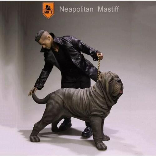 1:6 Scale Mr.Z Resin PVC Miniature Animal Model Neapolitan Mastiff Dog Model Toy fit 12" Action Figure Toys Accessories