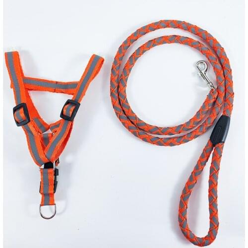 Pet Dog Essentials Reflective Harnesses for Dogs Adjustable, Lightweight, Rainproof) Safety Training Martingale Dog Collars