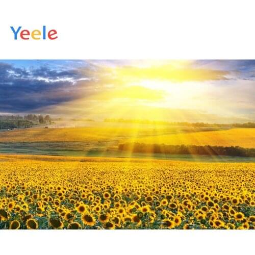 Yeele Blue Sky White Clouds Shine Sunflower Landscape Photography Backgrounds Photographic Customized Backdrops for Photo Studio