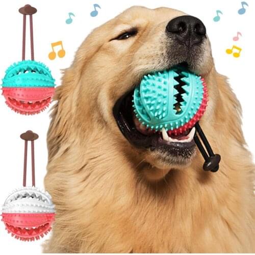 Pet Dog Puppy Multifunction Leakage Food Bite Resistant Ball Suction Cup Squeaky Molar Chew Toy Suitable For Golden Retriever