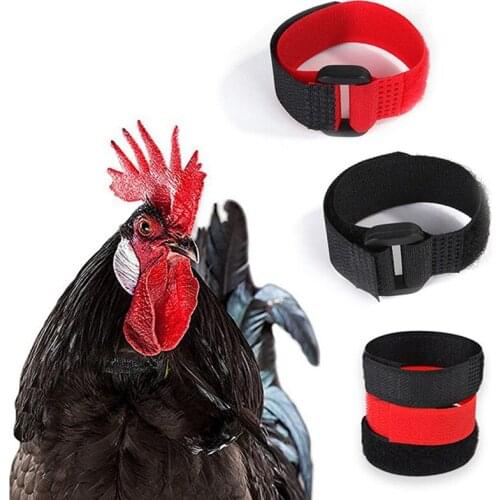 2PCS Chicken Collar Anti-Hook Noise Free Neckband Collars 18*2cm My Pet Chicken No-Crow Rooster Collar Supplies