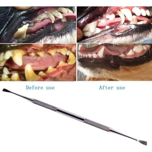 Pet Stainless Steel Double Ended Dental Calculus Removal Tool Tooth Scaler For Dogs And Cats