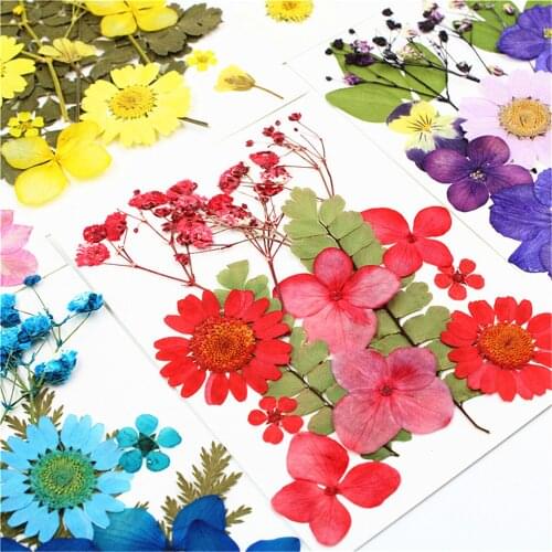 72pcs Real Dried Pressed Flowers Diy Candle Resin Jewelry Nail Pendant Crafts Decors Mixed Dry Flower Candle Decoration Tools