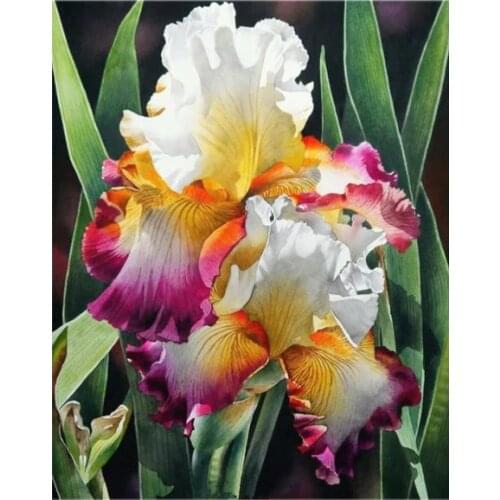 Iris Flowers Counted Cross Stitch Kits Color DIY Handmade Needlework for Embroidery 14CT Canvas Unprinted Cross Stitch Sets
