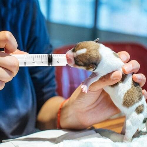 Syringes Blunt Tip Needle with Caps Syringe Glue Applicator and Multi Measuring Refilling Tool N6T4