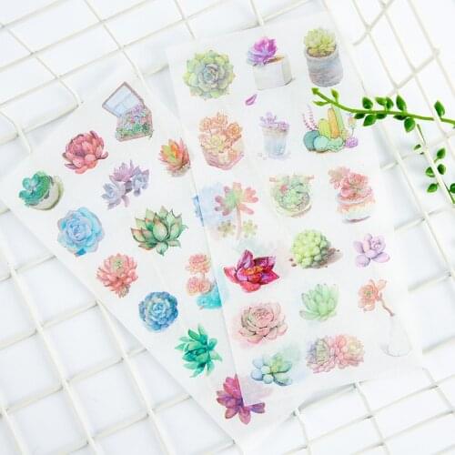 6Sheets/Pack Kawaii Succulent Plants Decoration Scrapbooking Stickers Transparent PVC Stationery Diary Stickers