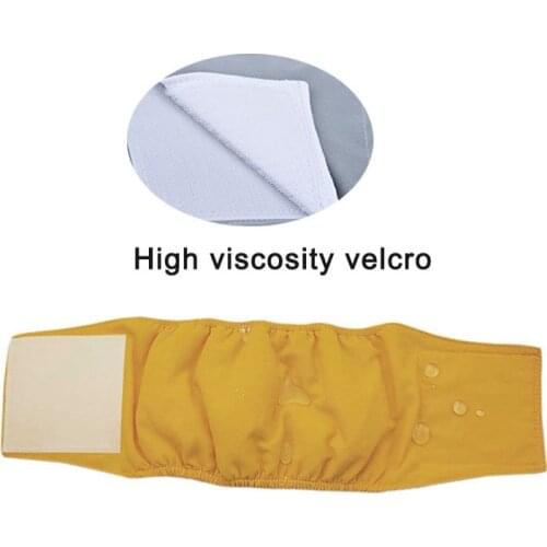 FangNymph Briefs For Dogs