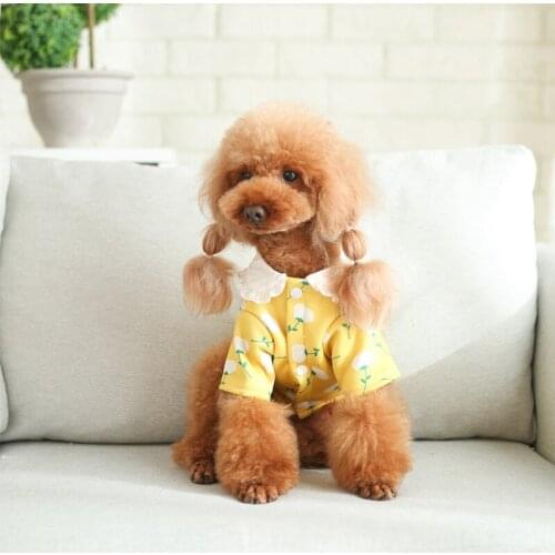 Cute Small Dog Clothes Sweet Cat Puppy Padded Warm Sweater For Small Dogs Cats Chihuahua Teddy Bichon Pomeranian Pet Dog Clothes