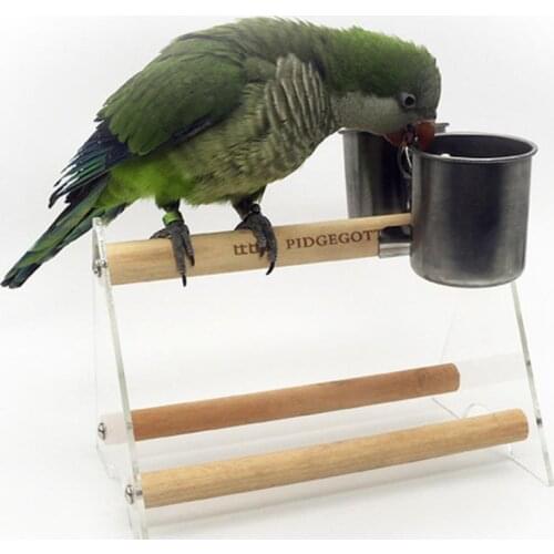 100pcs Pretty feeding bird Food Dendrobium Orchid Flower For Home Balcony house outdoor hanging decoration