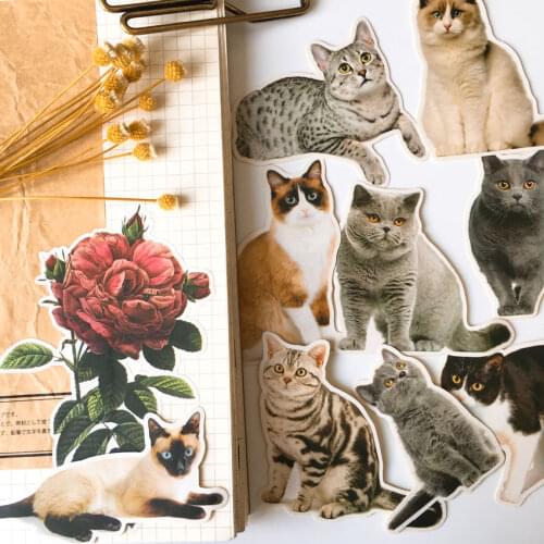 13pcs DIY Cute Cat Sticker diary photo album DIY sticker for Notebook/ Puppet cat stickers scrapbooking paper stationery