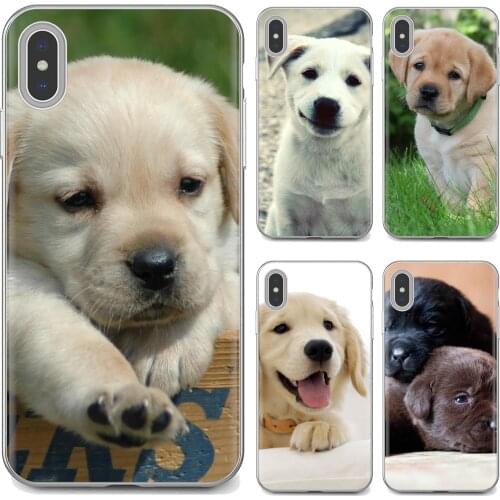 For Samsung Galaxy A10 A30 A40 A50 A60 A70 a12 a31 a41 a51 a71 a20e a21s M30 Phone Shell Case cute dog golden Labrador retriever