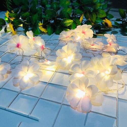 Flower Frangipani LED String Lights Powered By AA Battery,Holiday LED Lighting,Event Party Flower Garland decoration