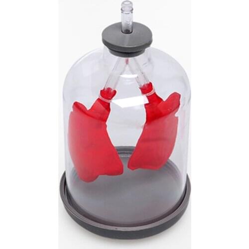 Simple breathing model pumping gas simulates lung function model education supplies 21cm*11cm
