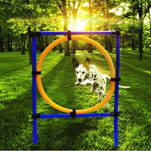 Dog Jump Circle Jump Ring Training Sensitivity Jump Pole Dog Outdoor Sports Equipment Pet Training Supplies