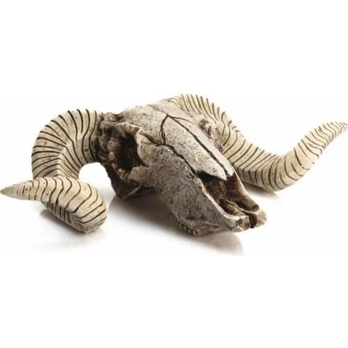 Wall Mounted Animal Head Garden Resin Decor Skull Sheeps Head