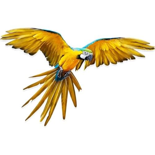 Animal Stickers Mysterious Parrot Personalized PVC Colored Decor Car Sticker High Quality Decal,14cm*9cm