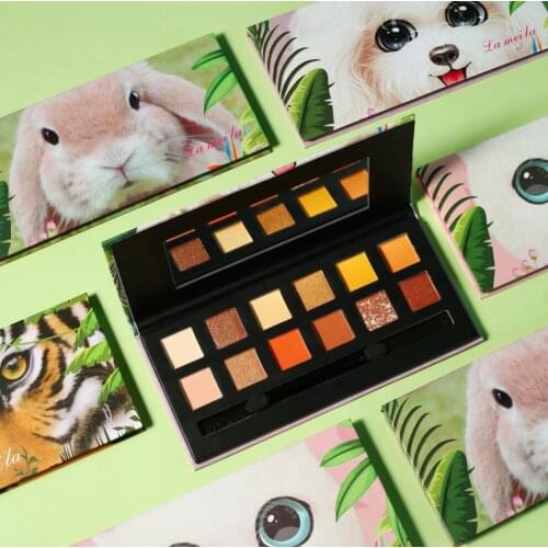 12-Color Eyeshadow Palette Pearly Matte Earth Color Animal Cartoon Girl Eye Shadow Palette