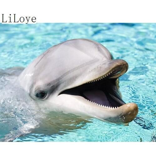 LI LOYE Full Square 5D DIY Diamond Painting Crystal Diamond Painting Cross Stitch dolphin Needlework Home Decorative Gift FZ283