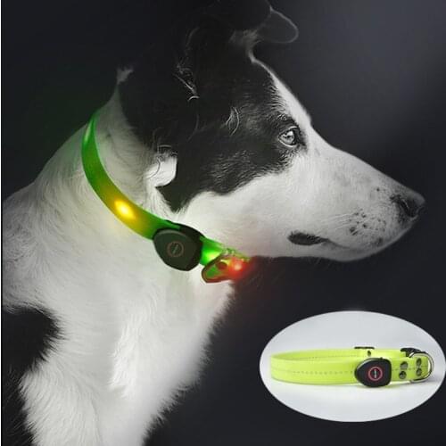 LED Pet Collar USB Rechargeable Night Safety Warning Luminous Dog Adjustable Silicone Collar Safety Collars