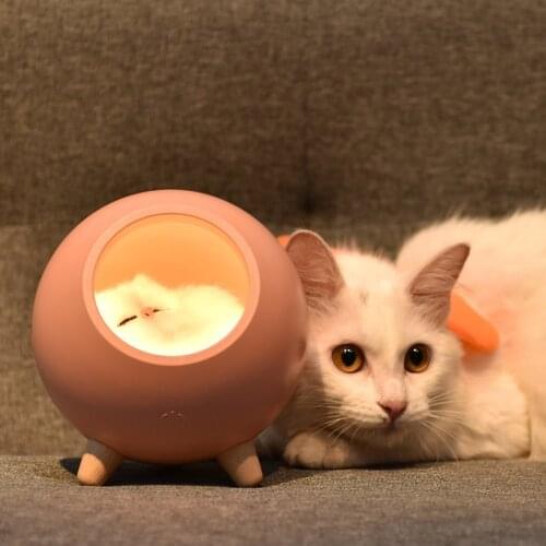 Ins LED Night Light Table Lamp Cute Cat Cartoon Touch Sensor USB Charging Atmosphere Bluetooth LED Beside Room Decoration Lights