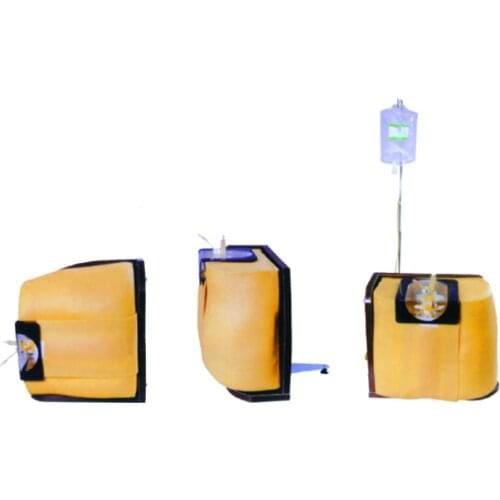 Lumbar Puncture Simulator BIX-L60 WBW226