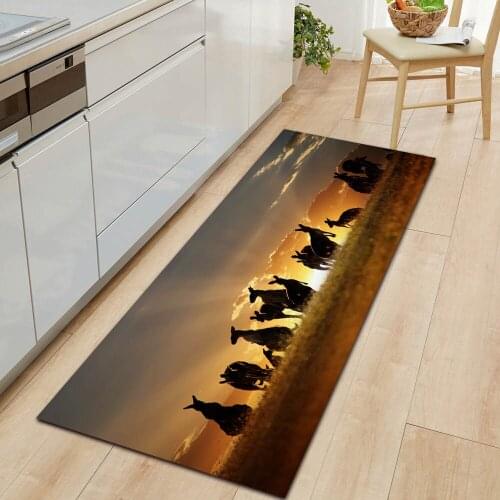 Animal World Series Entry Mat Living Room Bedroom Soft Flannel Carpet Bathroom Anti-Slip Mat
