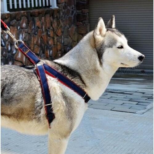 New Adjustable Dog Leash+harness Colorful Jean Denim Lead Harness Dog Collar Chain Cat rope belt collar dogs M L XL Size 3 color