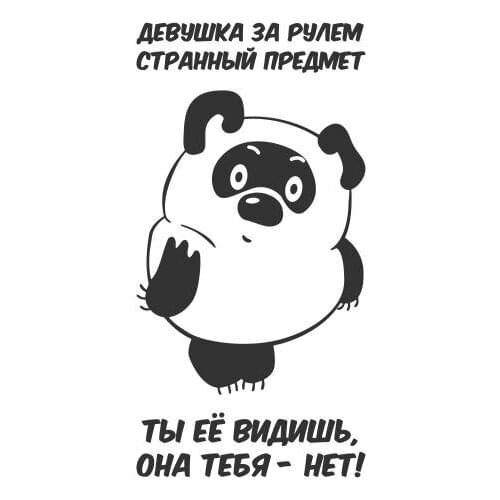 The Girl Behind The Wheel Is A Strange Object Vinyl Car Stickers For Car Window Door Sign Detachable FA152