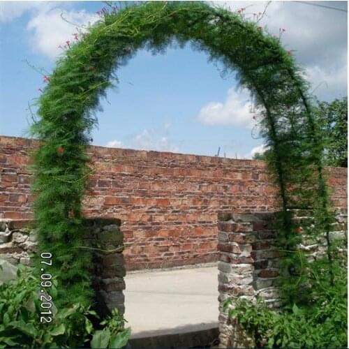 140*38*240cm high,Simple flower arch gardening gourd vines frame road lead rattan vine Iron.wedding decorative