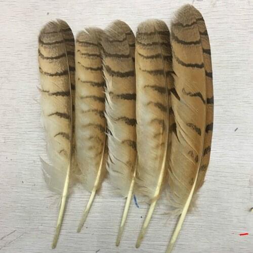 Art DIY Sewing Feather 25-30cm Rare Eagle Feather Pure Natural Feather Stage Props Decorative Feather 5pcs/lot