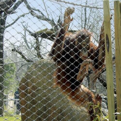 304 316L stainless steel metal wire rope mesh for protection animal zoo