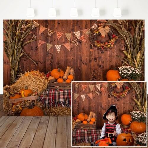 Autumn Rural Farm Pumpkins Backdrop Wood Floor Haystack Corn Flowers Background Children Birthday Halloween Photography