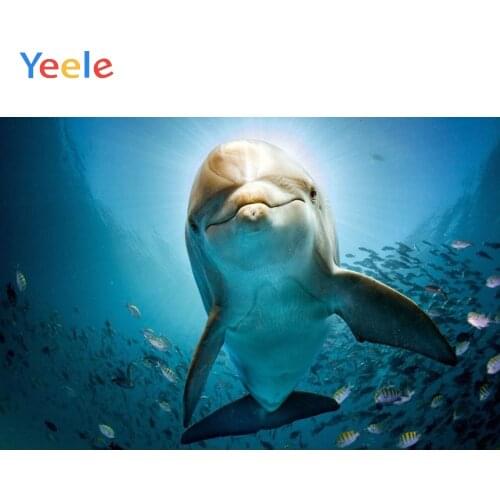 Yeele Sea Fish Dolphin Ocean Backdrop Newborn Baby Shower Children Birthday Photography Background For Photo studio Photocall