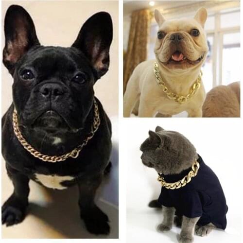 Fashion Pet Dog Collar Thick Necklace Gold Chain Plastic Gold Plated Safety Collar Puppy Small Dogs Supplies Y