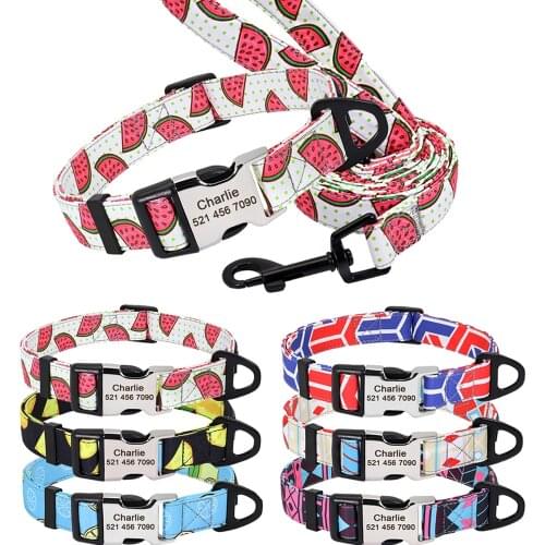 Cute Custom Dog Collar Leash Personalized Fruit Print Nylon Dog Collar Lead Engraved Name ID For Small Medium Large Dog Pitbull